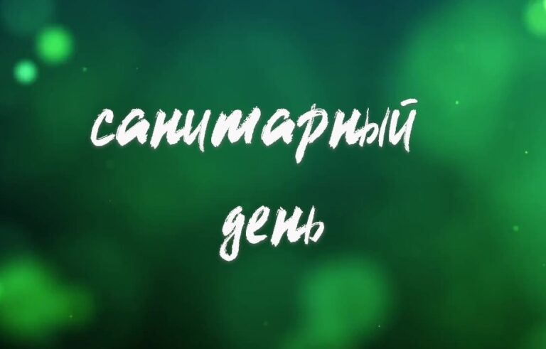 Санитарный день